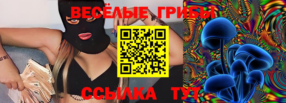 Галлюциногенные грибы MAGIC MUSHROOMS Мончегорск